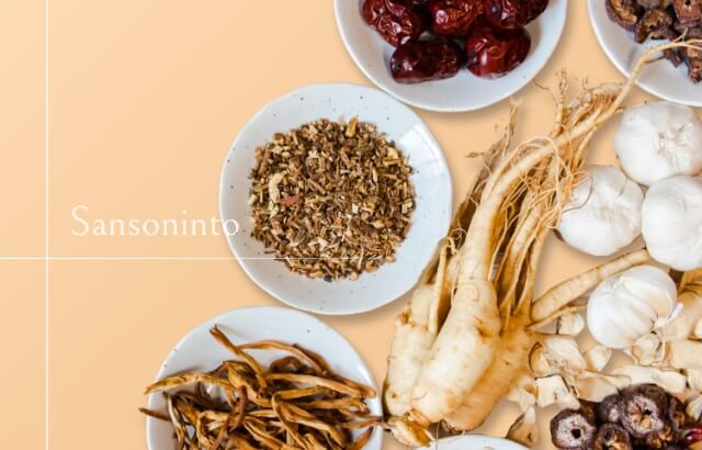 酸棗仁湯(サンソウニントウ)