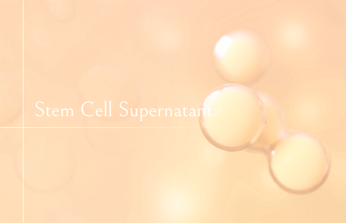 幹細胞上清液2cc
